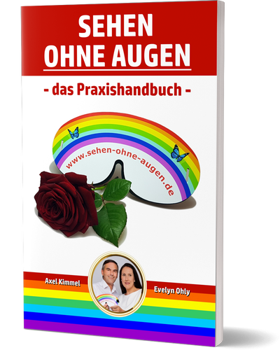 Sehen ohne Augen - das Praxishandbuch
